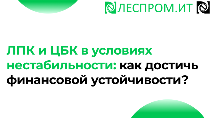 ЛПК и ЦБК в условиях нестабильности: как достичь финансовой устойчивости?