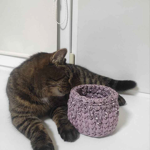 Обучающий мастер-класс по вязанию крючком для сотрудников Неосистем